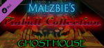 Malzbie's Pinball Collection - Ghost House banner image