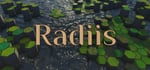 Radiis steam charts