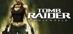 Tomb Raider: Underworld steam charts