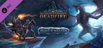 Pillars of Eternity II: Deadfire - Beast of Winter banner image