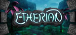 Etherian steam charts