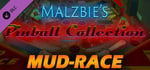 Malzbie's Pinball Collection - Mud Race Table banner image
