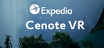 Expedia Cenote VR steam charts