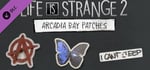 Life is Strange 2 - Arcadia Bay Patches DLC banner image