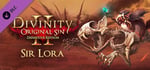 Divinity: Original Sin 2 - Companion: Sir Lora the Squirrel banner image