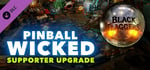 Pinball Wicked - Supporter Upgrade banner image