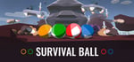 Survival Ball steam charts
