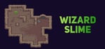 Wizard Slime steam charts