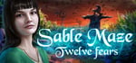 Sable Maze: Twelve Fears Collector's Edition steam charts