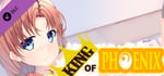 King of Phoenix Adults Only Patch 18+ banner image