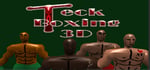 Teck Boxing 3D steam charts