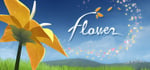 Flower banner image