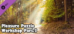 Pleasure Puzzle:Workshop - Part 3 banner image