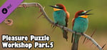 Pleasure Puzzle:Workshop - Part 5 banner image
