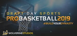 Draft Day Sports: Pro Basketball 2019 banner image