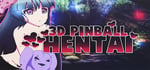 3D Pinball Hentai banner image