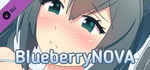 BlueberryNOVA - 18+ Adult Only Content banner image