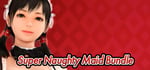 Super Naughty Maid Bundle banner image