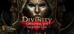 Divinity: Original Sin - The Source Saga banner image