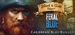 Caribbean Blue banner image