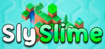 Sly Slime + Soundtrack banner image