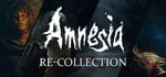 Amnesia Re-collection banner image