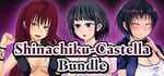 Shinachiku-castella Bundle banner image