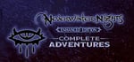 Neverwinter Nights: Complete Adventures banner image