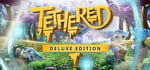 Tethered Deluxe Edition banner image