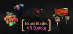 Brain Blinks VR Combo banner image