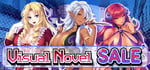Visual Novel 2023 (-10%) banner image