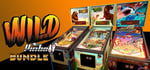 Wild Pinball Bundle banner image