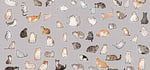 Cats Gift Pack banner image