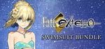 Fate/EXTELLA - Swimsuits banner image