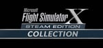 FSX: Steam Edition: Airbus Series The Collection (Vol. 1- 4) banner image