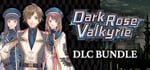 Dark Rose Valkyrie DLC Bundle / コンプリートエディション / 完全組合包 banner image