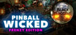 Pinball Wicked: The Frenzy Edition banner image