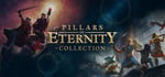 Pillars of Eternity Collection banner image