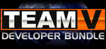 Team V Collection banner image