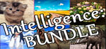 Intelligence bundle banner image