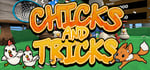 Chicks and Tricks VR banner image