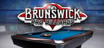 Brunswick Pro Billiards banner image