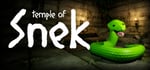 Temple Of Snek steam charts