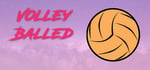 Volleyballed steam charts