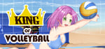 King of Volleyball banner image
