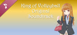 King of Volleyball OST banner image