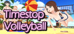 Timestop Volleyball banner image