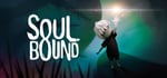 SOULBOUND steam charts