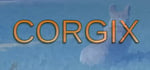 CORGIX banner image