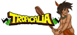 Tropicalia banner image